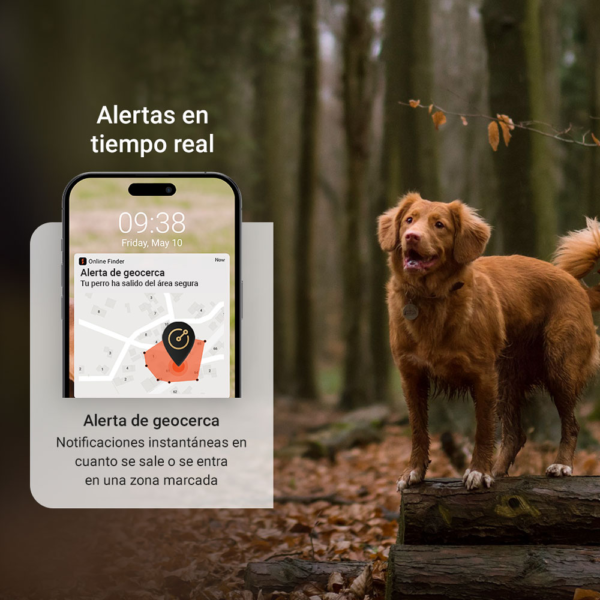 Localizador GPS 4G para Mascotas - Resistente al Agua - Imagen 2