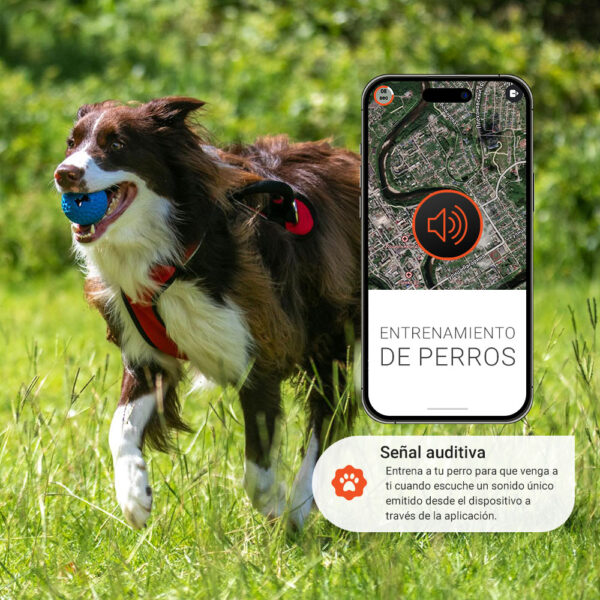Localizador GPS 4G para Mascotas - Resistente al Agua - Imagen 3