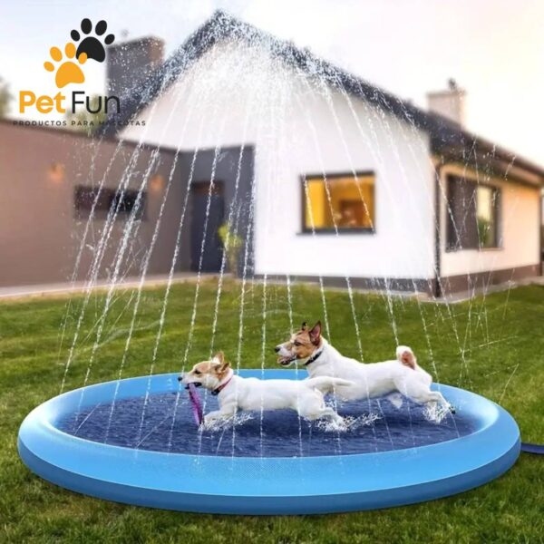 Piscina plegable para perros medianos y grandes - Imagen 2