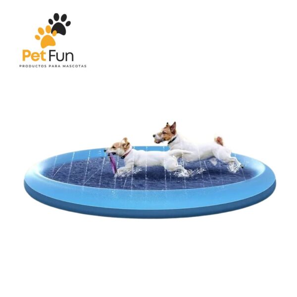 Piscina plegable para perros medianos y grandes