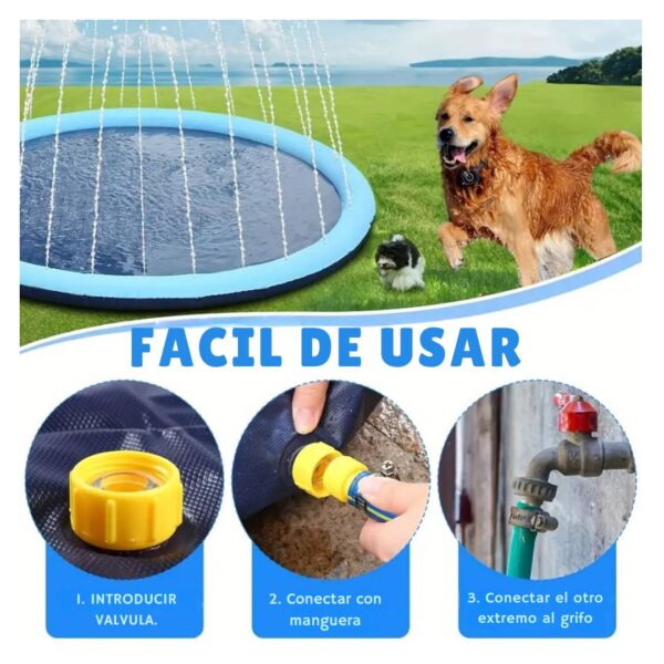 Piscina plegable para perros medianos y grandes - Imagen 3